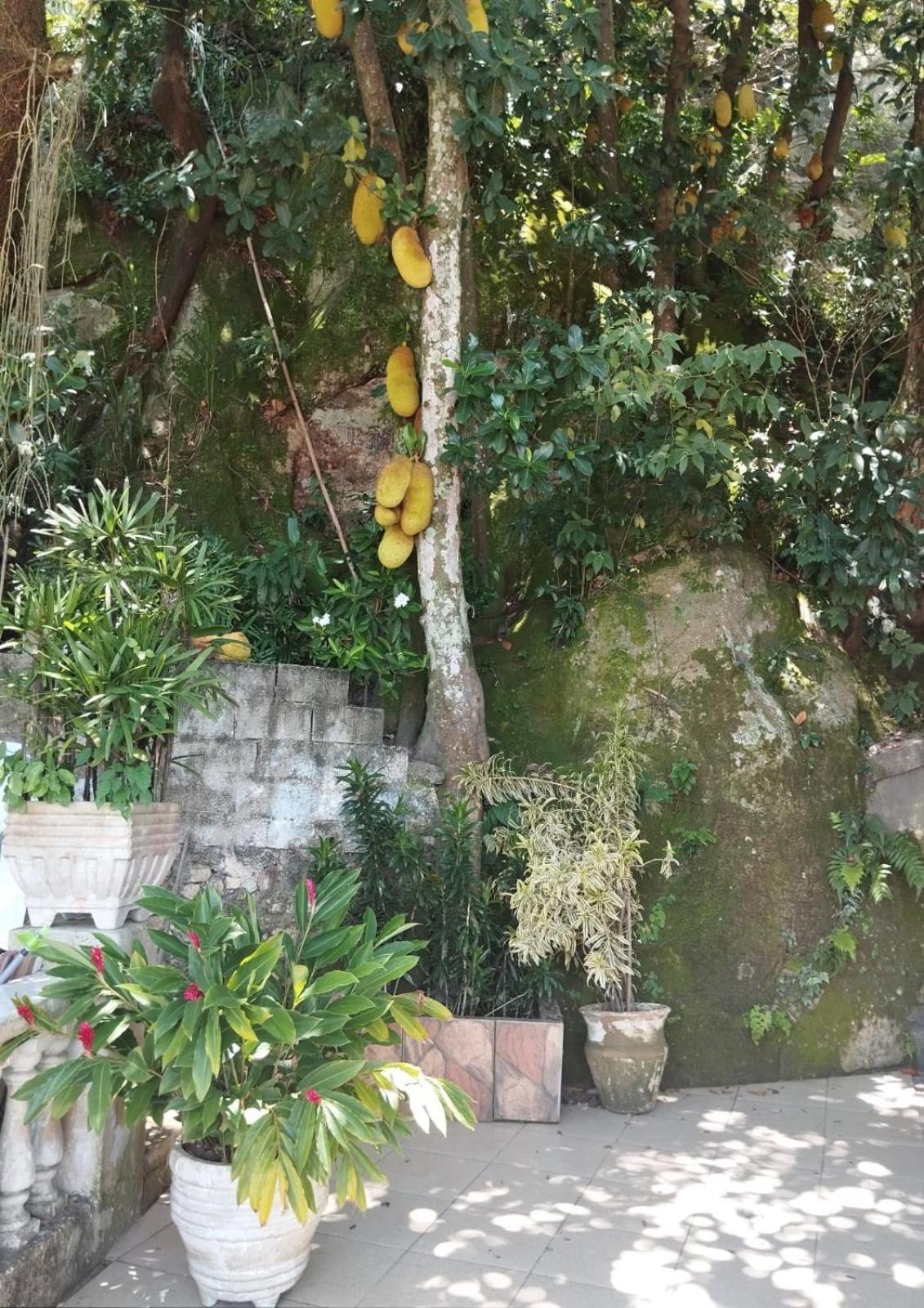 Casa Luzes Ivn Hostal *
